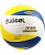 мяч волейбольный jv-800